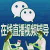 毛绒玩具设计在线专业培训辅导群
